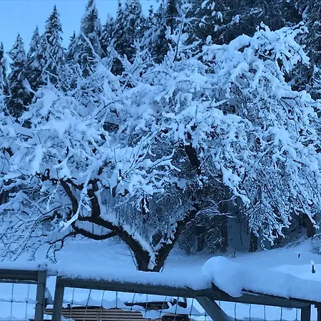 Lägenhet Lammerergut *
