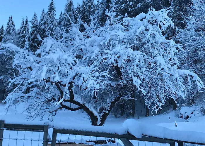 Διαμέρισμα Lammerergut *